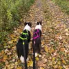 Dingo Hundegeschirre Sled Große L Farbe Rosa Zuggeschirr Produktbild-Vorschau 11