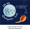 Illustration showing Triops eggs in a petri dish, with text indicating larvae hatch in a few days, and a mature Triops creature. Produktbild-Vorschau