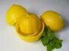 Contenitore per limoni Ibili, plastica, 9x11 cm, giallo Anteprima dell’immagine prodotto 3