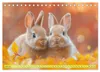 Kaninchen - Liebenswerte Fellbällchen (Tischkalender 2027 Produktbild-Vorschau 9