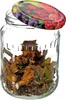 6 x 900ml Vorratsglas Einmachglas mit Deckel Produktbild-Vorschau 5