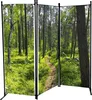 A three-panel room divider displaying a forest scene with a path. Produktbild-Vorschau
