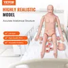 VEVOR Unisex ošetřovatelská výcviková figurína Multifunkční Náhled obrázku produktu 2