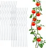 3.10 spirálových tyčí na rajčata v sadě po 20 - 110 cm - Náhled obrázku produktu 1