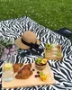 Zagatto Pikniková Deka 200x200cm s Rukojetí Zebrí Vzor Náhled obrázku produktu 6