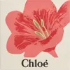 Chloe Nomade Geschenkset Eau de Parfum  50ml + Body Lotion Produktbild-Vorschau 7