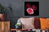 MuchoWow® Poster Ein Foto von rosa Rosen mit schwarzem Produktbild-Vorschau 3