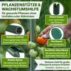 TTL GARDEN Rankstäbe 10er Set 150cm 11mm Pflanzenstütze + Produktbild-Vorschau 3