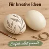 3 natürliche Straußeneier Deko-Eier, entleert, gereinigt & Produktbild-Vorschau 5