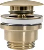 A close-up studio shot of a sink drain stopper. Náhľad obrázku produktu