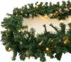 A close-up view of a green Christmas garland with small LED lights. Produktbild-Vorschau