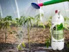 Naturdünger - Brennnessel Extra - 1L - Wachstumsfördernd - Produktbild-Vorschau 3