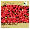 Samenliebe  Radieschen Samen | Rudi - mild & rund - Produktbild-Vorschau 1
