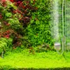 An aquarium with lush green and red plants, and a glass CO2 diffuser with bubbles rising. Anteprima dell’immagine prodotto