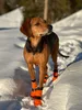 Non-stop dogwear Hundeschuhe Contact Bootie High orange, Produktbild-Vorschau 14