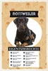 vianmo Holzschild 30x20 cm Rottweiler Eigentumsrechte Produktbild-Vorschau 1