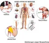 Gefäßsystem Poster Anatomie 70x50 cm medizinische Produktbild-Vorschau 3