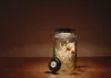 Sonnenglas Solar-LED-Dekoleuchte Fair Trade 1Stück Produktbild-Vorschau 7