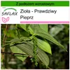 SAFLAX - Zioła - Prawdziwy Pieprz - 20 Nasiona - Z podłożem Podgląd zdjęcia produktu 10