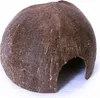 Terrario CocoCave L - cocco mezzo liscio Terrario Anteprima dell’immagine prodotto 2