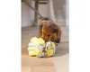 Beeztees Welpe Izzy Schnüffelball - Hundespielzeug - Produktbild-Vorschau 5