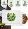 Rucola Samen (Eruca sativa, 500 Korn) - Rauke Saatgut aus Produktbild-Vorschau 4
