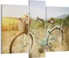 Bild auf Leinwand - Leinwandbild - 3 Teile - Fahrrad Wiese Produktbild-Vorschau 1