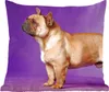 MuchoWow® Zierkissen Sofakissen Wohnzimmer Dekokissen 40x40 Produktbild-Vorschau 1