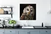 MuchoWow® Poster Waldkauz auf schwarzem Hintergrund 75x75 Produktbild-Vorschau 3