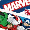 Marvel 21x7x7 Cm Avengers Trousse à crayons Homme Voir les images du produit 6