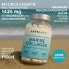 Aavalabs Meereskollagen | Typ I & Hyaluronsäure | Haut & Produktbild-Vorschau 2