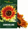 Sonnenblumen Herbstschönheit Samen - Helianthus annuus - Produktbild-Vorschau 1