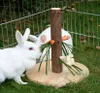 Kerbl Futterbaum Nature für Nagetiere Kaninchen Spielzeug Náhľad obrázku produktu 3