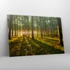 Bild auf Leinwand - Leinwandbild - Wald grün Sonnenstrahlen Produktbild-Vorschau 4
