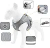 A gray dog harness is shown on a white mannequin dog, with several close-up insets highlighting features. Náhled obrázku produktu