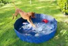 A dog jumping into a blue dog pool filled with water and toys. Produktbild-Vorschau