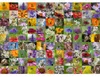 99 Bienen Ravensburger 12000617 Produktbild-Vorschau 2