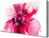 Tulup Leinwand-Bilder 100x50 Wandbild Canvas Kunstdruck Produktbild-Vorschau 1