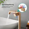A rose gold faucet is shown with water flowing into a white sink, with an inset diagram illustrating temperature control. Anteprima dell’immagine prodotto