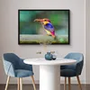 MuchoWow® MuchoWow® Gerahmtes Poster Eisvogel - Eidechse - Produktbild-Vorschau 5