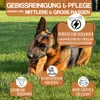 A German Shepherd dog is chewing on a rawhide bone in a grassy outdoor setting. Produktbild-Vorschau
