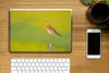 MuchoWow® Laptop Aufkleber Sticker Cover Vogel - Tiere - Produktbild-Vorschau 2