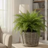 Van der Leeden Pflanzen-/Blumenkorb - geflochten - D47 x Produktbild-Vorschau 3