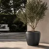 Vyveo - Vaso da fiori Liora - Argento metallizzato - 44x40 Anteprima dell’immagine prodotto 7