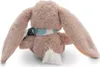NICI 61282 Fjella coniglio peluche mascotte 20cm VERDE Anteprima dell’immagine prodotto 5