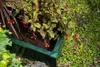 KHW Pflanzkasten H 40 x B 43 x L 100 cm, Farbe Grün; 38103 Produktbild-Vorschau 6