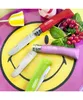 Three Opinel knives in different colors are laid out on a smiley face plate, with some red currants and mint leaves. Podgląd zdjęcia produktu