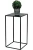 A black metal plant stand with a potted green plant on top, isolated on a white background. Produktbild-Vorschau