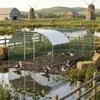 ROSEJANE Bogen-Hühnergehege 3 x 6 x 2 m, Hühnerauslauf mit Produktbild-Vorschau 9