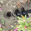 Tarière de jardin pour perceuse, tarière pour visseuse sans Voir les images du produit 8